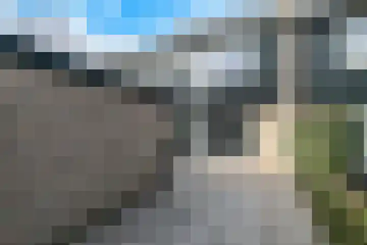 Ridderspoor 47 Hoevelaken thumbnail 35