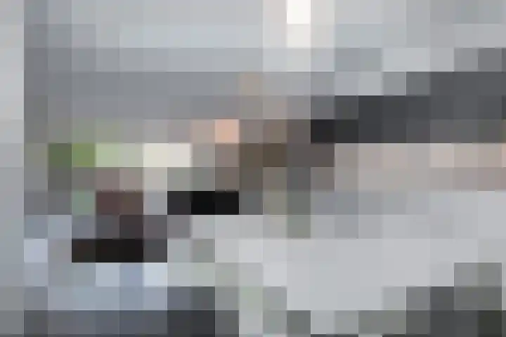 Ridderspoor 47 Hoevelaken thumbnail 6