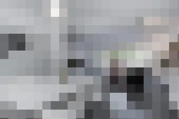 Ridderspoor 47 Hoevelaken thumbnail 7