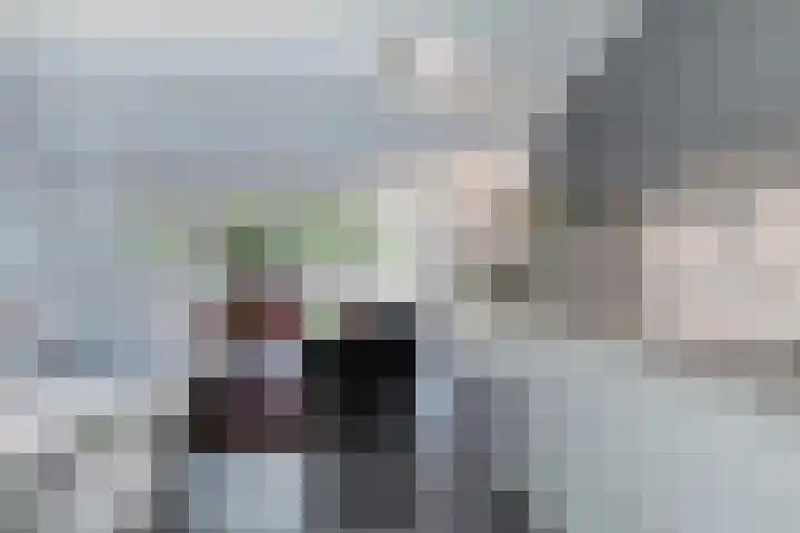 Ridderspoor 47 Hoevelaken thumbnail 8