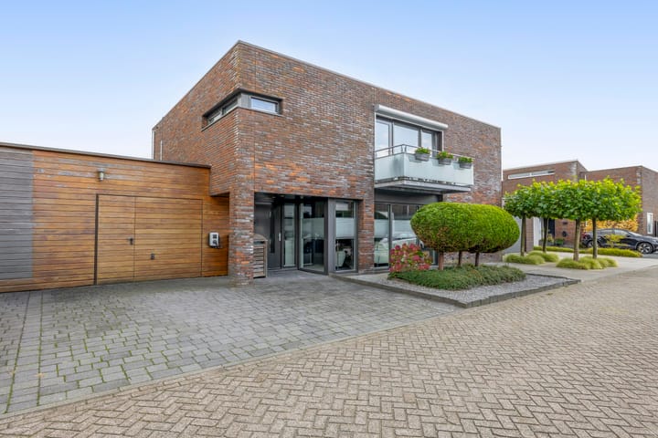 Ridderspoor 5 in Zevenbergen Foto