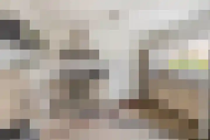 Ridderspoor 5 Zevenbergen thumbnail 18