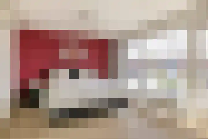 Ridderspoor 5 Zevenbergen thumbnail 24