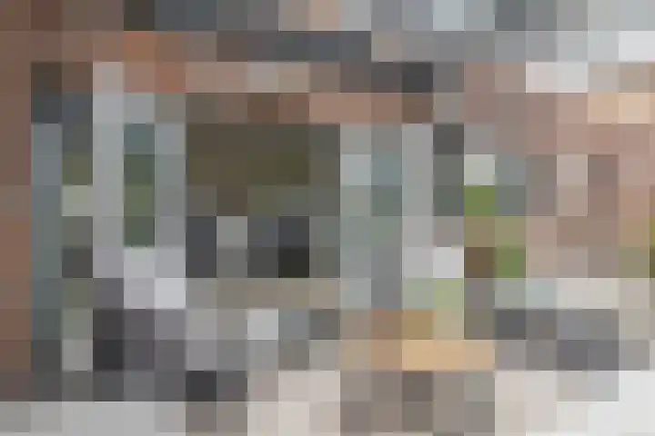 Ridderspoor 5 Zevenbergen thumbnail 31
