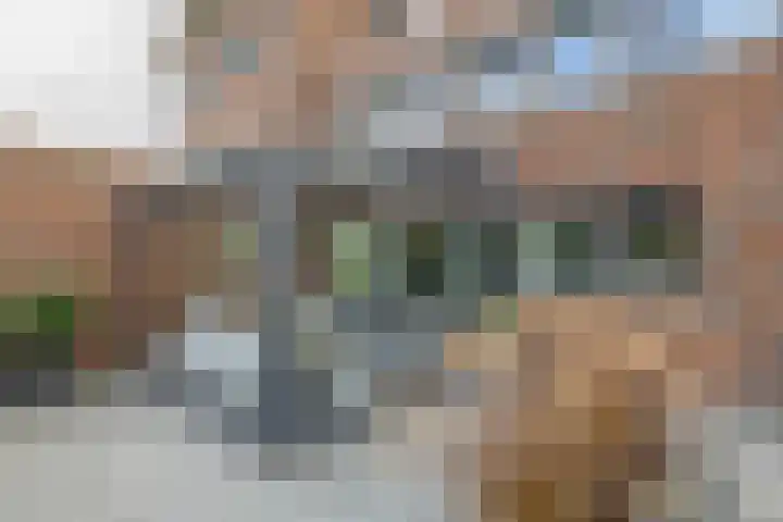 Ridderspoor 5 Zevenbergen thumbnail 32