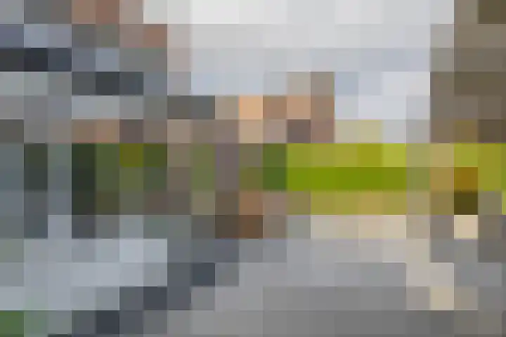 Ridderspoor 5 Zevenbergen thumbnail 33