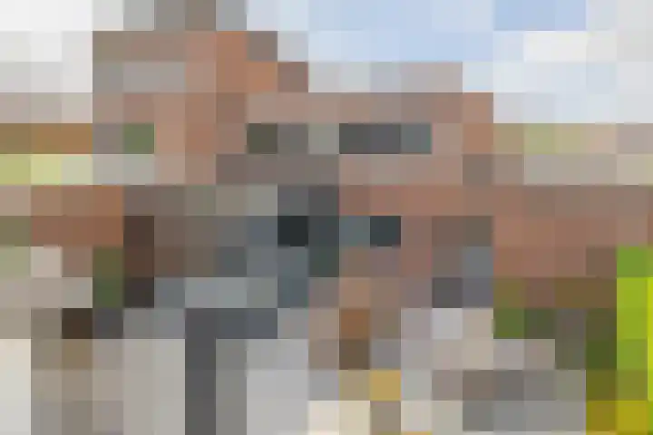Ridderspoor 5 Zevenbergen thumbnail 34