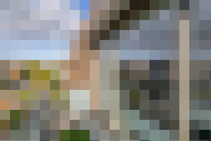 Ridderspoor 5 Zevenbergen thumbnail 35