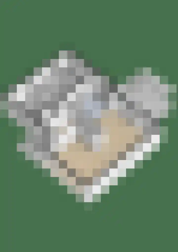 Ridderspoor 5 Zevenbergen thumbnail 43