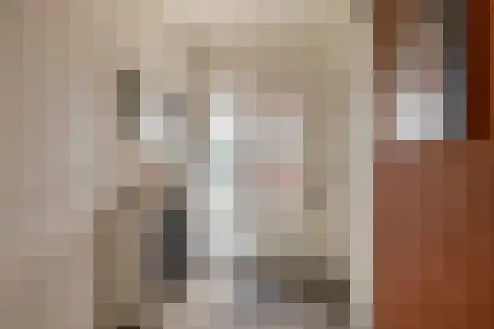 Ridderspoor 5 Zevenbergen thumbnail 7