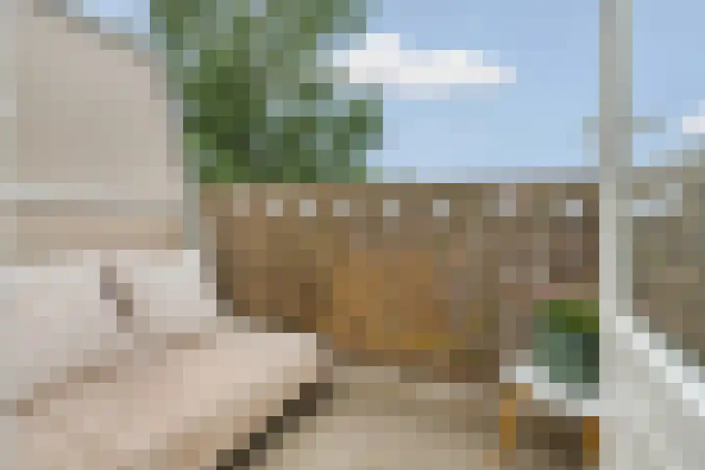 Ridderspoor 51 Nijmegen thumbnail 17