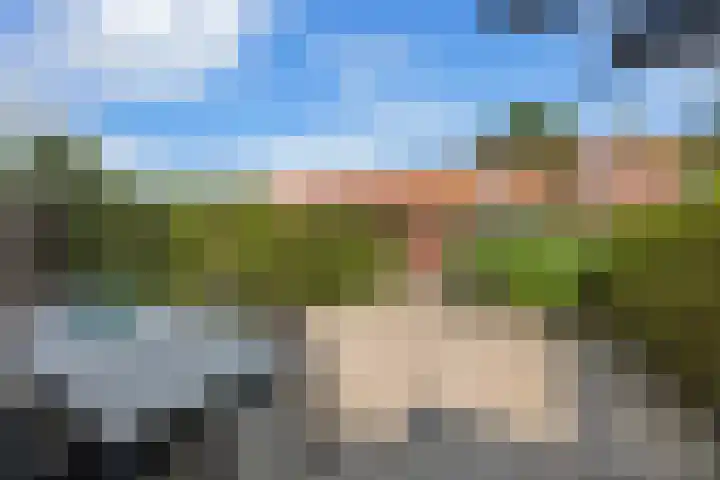 Ridderspoor 56 Nootdorp thumbnail 26