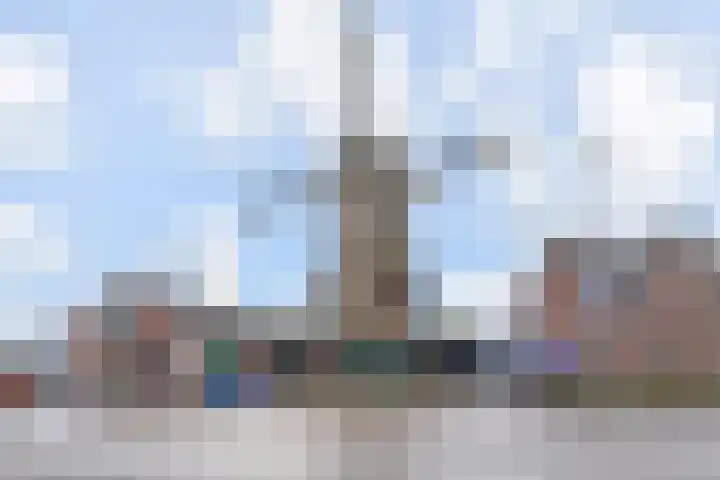 Ridderspoor 56 Nootdorp thumbnail 37