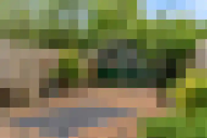 Ridderspoor 58 Zwaag thumbnail 11