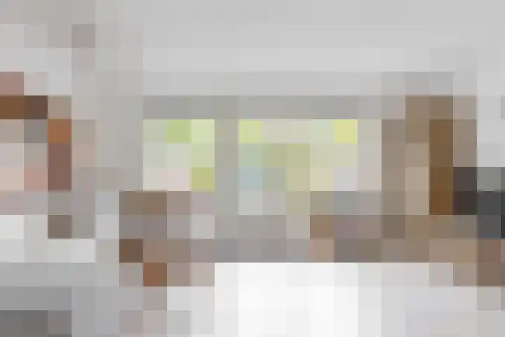 Ridderspoor 58 Zwaag thumbnail 12
