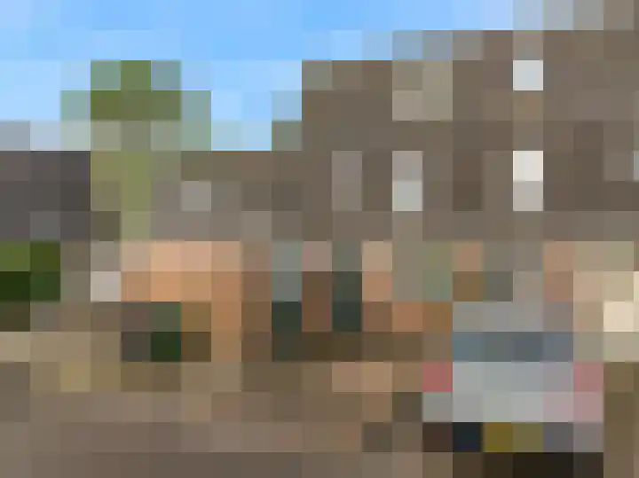 Ridderspoor 58 Zwaag thumbnail 38