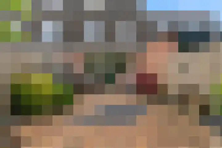 Ridderspoor 58 Zwaag thumbnail 8