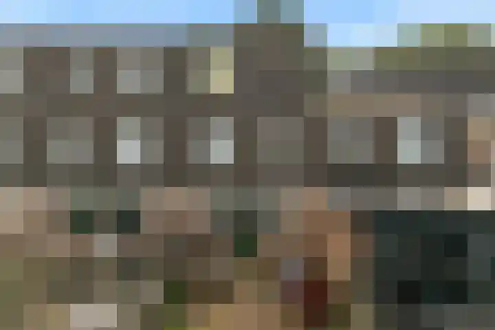 Ridderspoor 58 Zwaag thumbnail 9