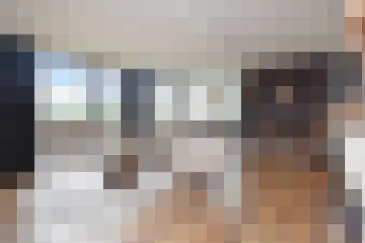 Ridderspoor 8 Nootdorp thumbnail 16