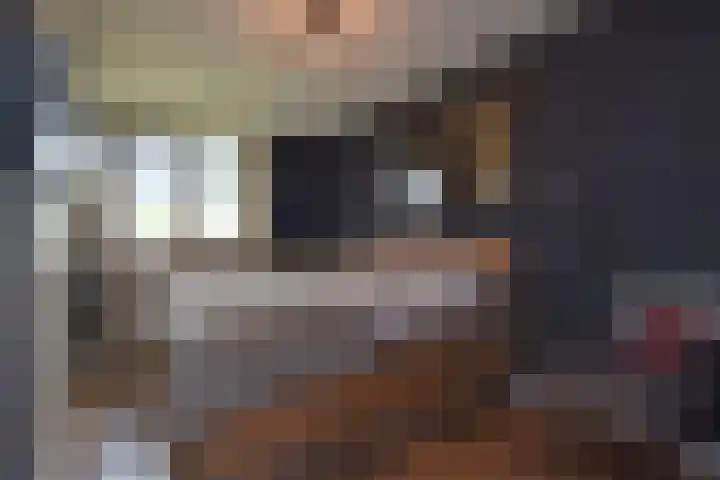 Ridderspoor 8 Nootdorp thumbnail 27
