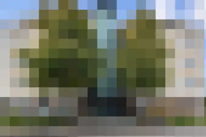 Ridderspoor 8 Nootdorp thumbnail 35