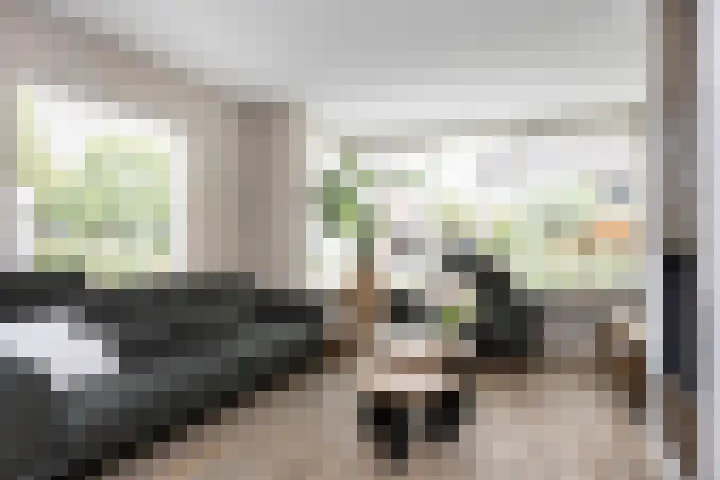 Ridderspoor 9 Borne thumbnail 11