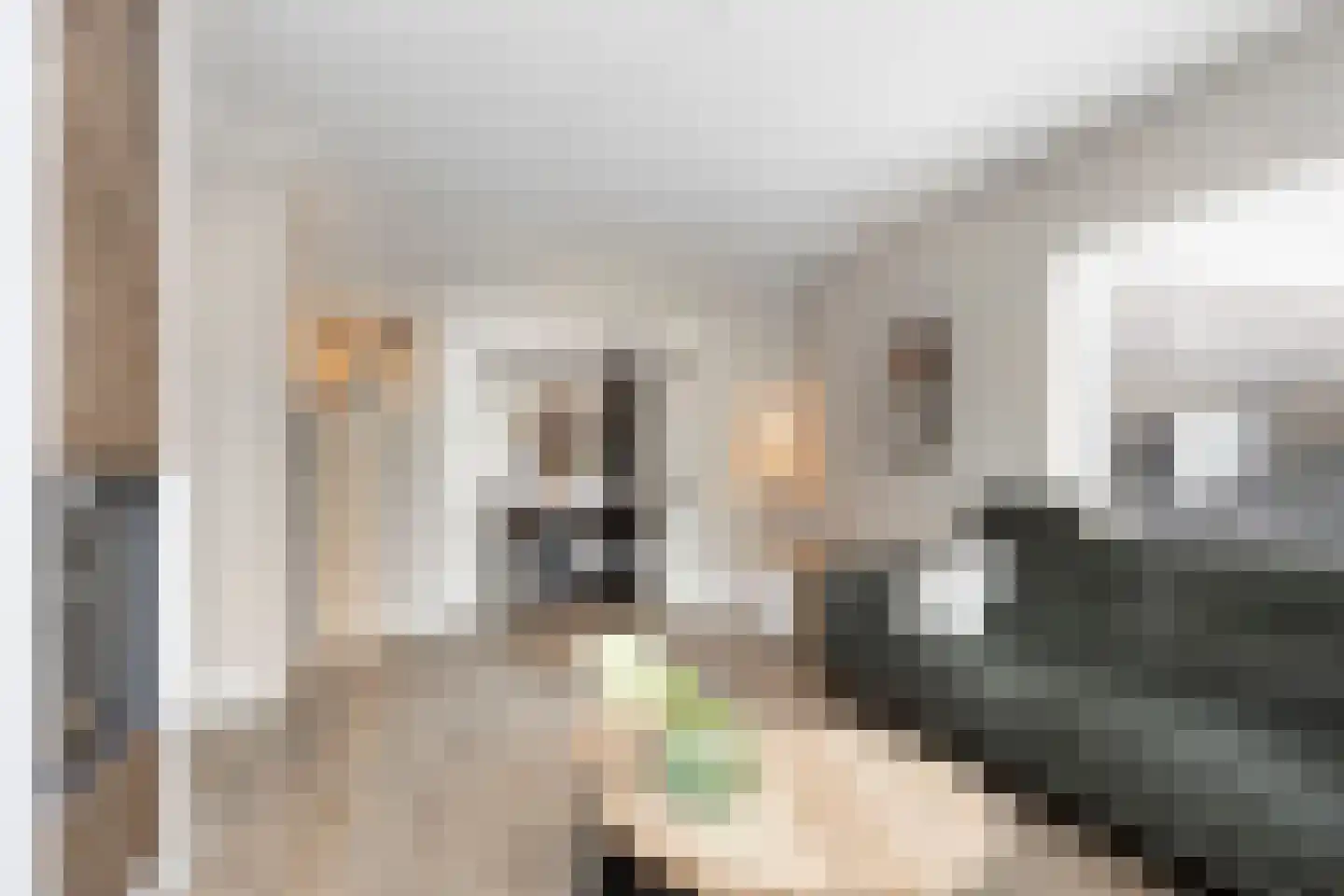 Ridderspoor 9 Borne thumbnail 12