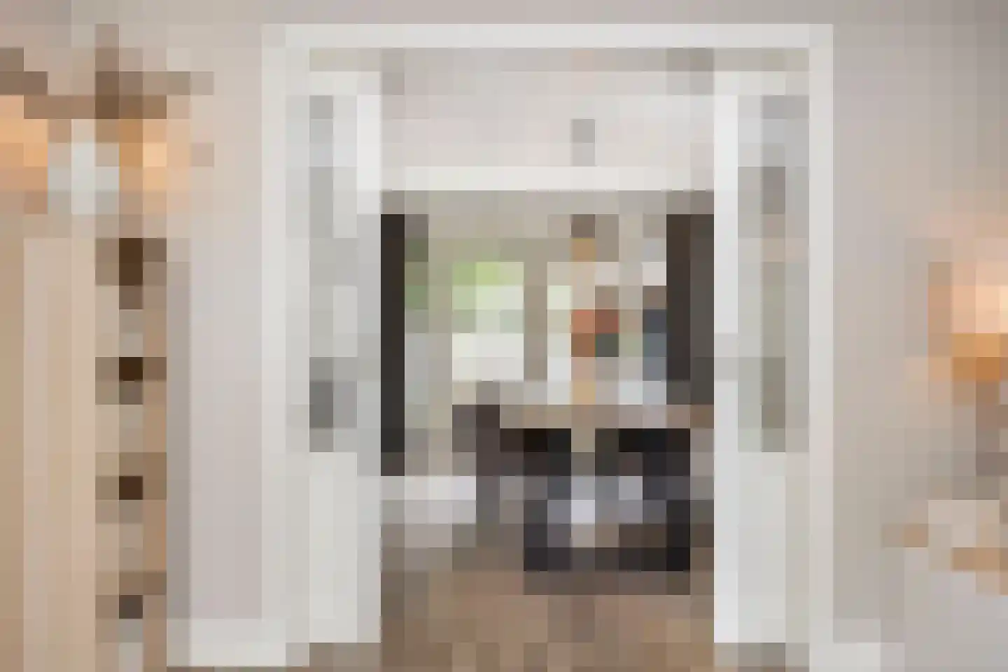 Ridderspoor 9 Borne thumbnail 13