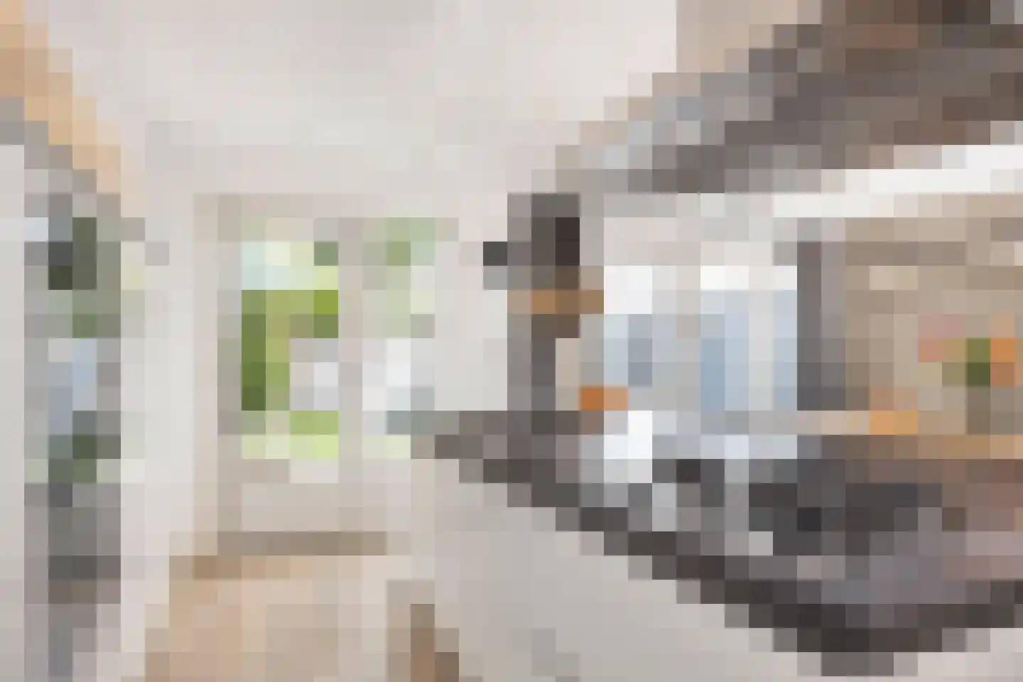 Ridderspoor 9 Borne thumbnail 16