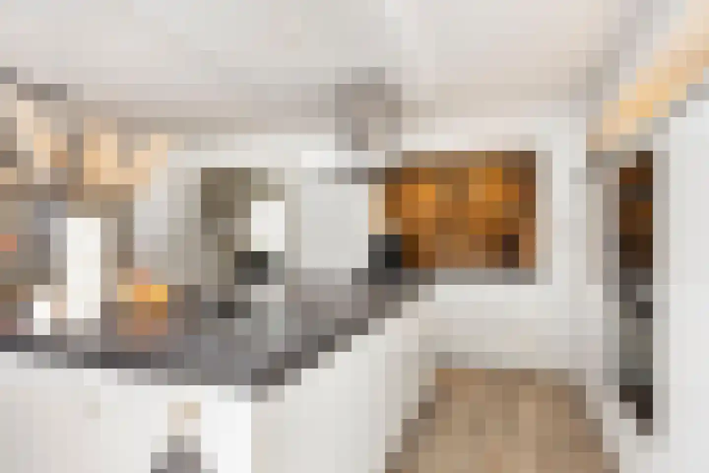 Ridderspoor 9 Borne thumbnail 19