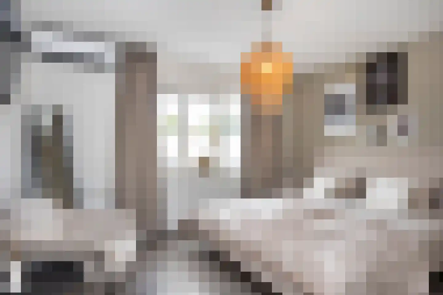 Ridderspoor 9 Borne thumbnail 21