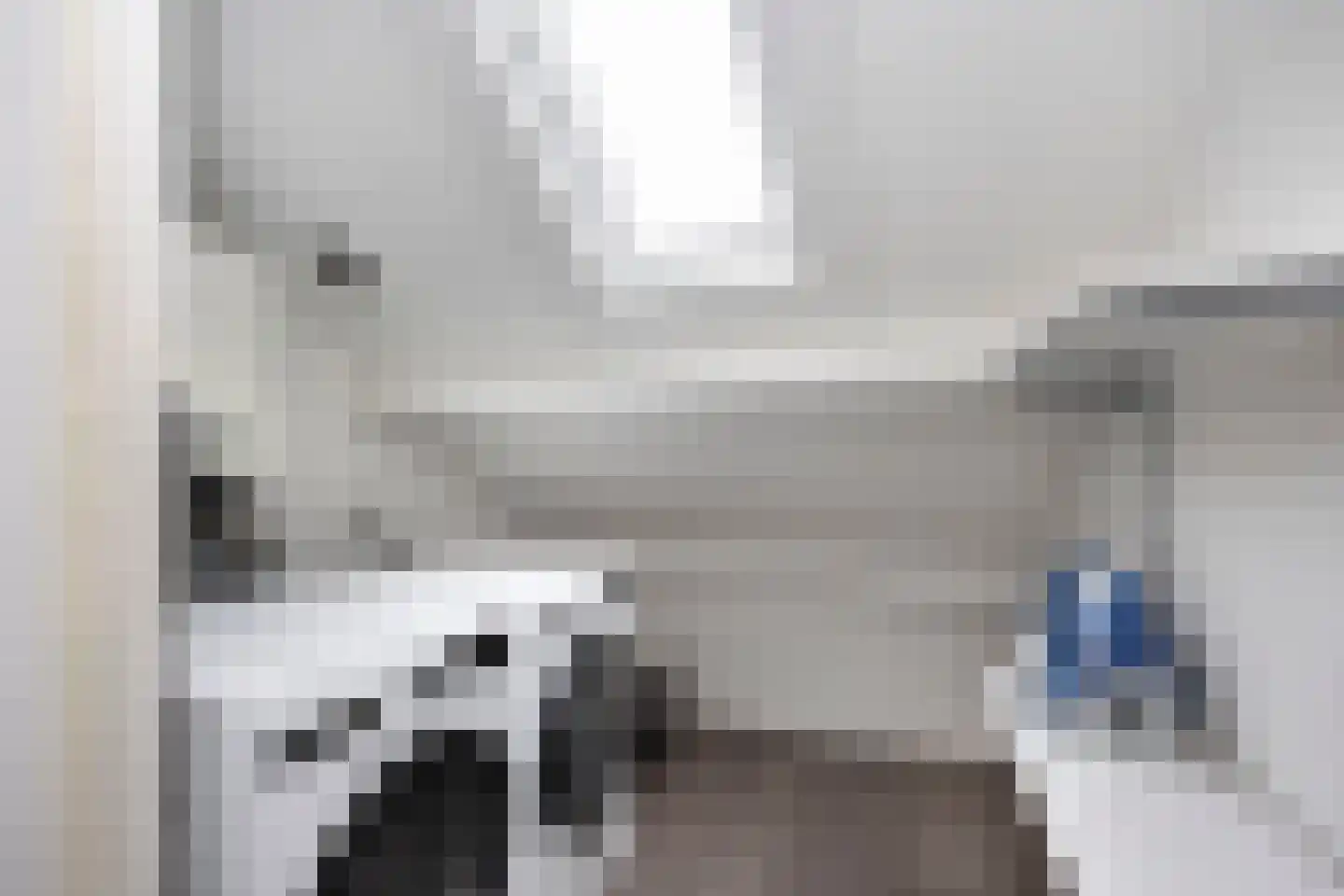 Ridderspoor 9 Borne thumbnail 26