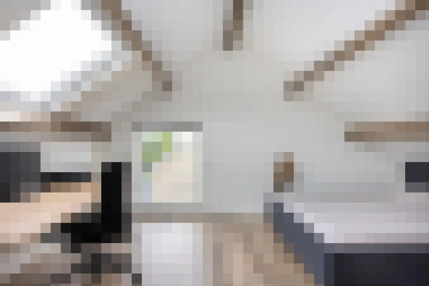 Ridderspoor 9 Borne thumbnail 27