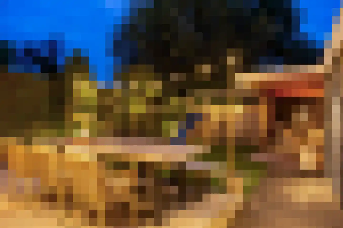 Ridderspoor 9 Borne thumbnail 29