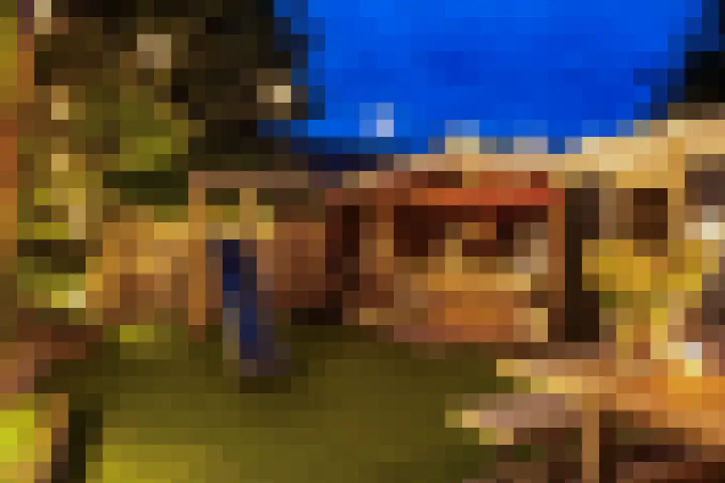 Ridderspoor 9 Borne thumbnail 31