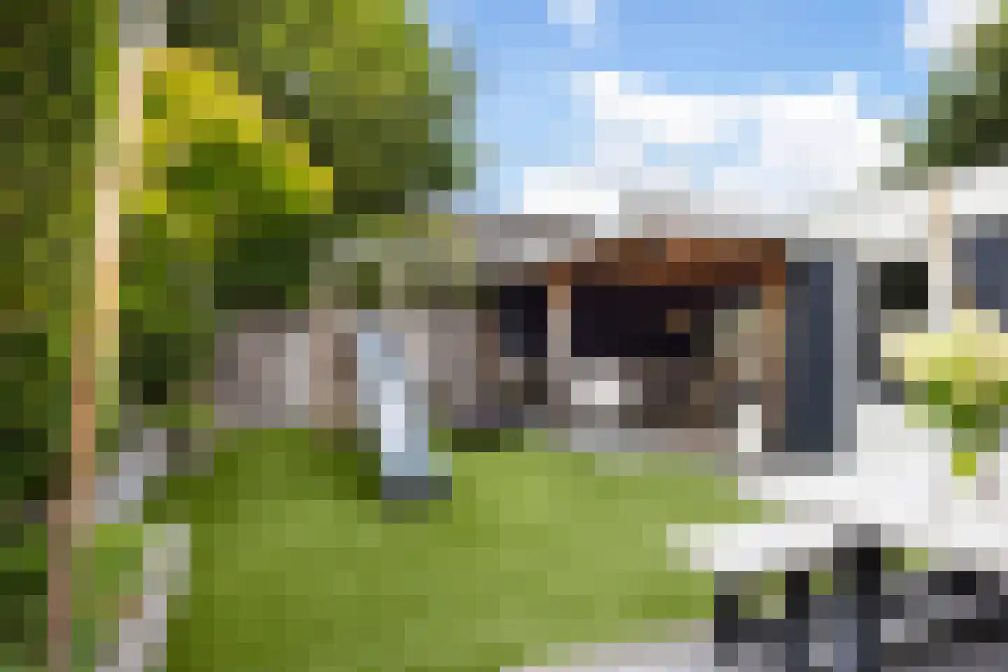 Ridderspoor 9 Borne thumbnail 32