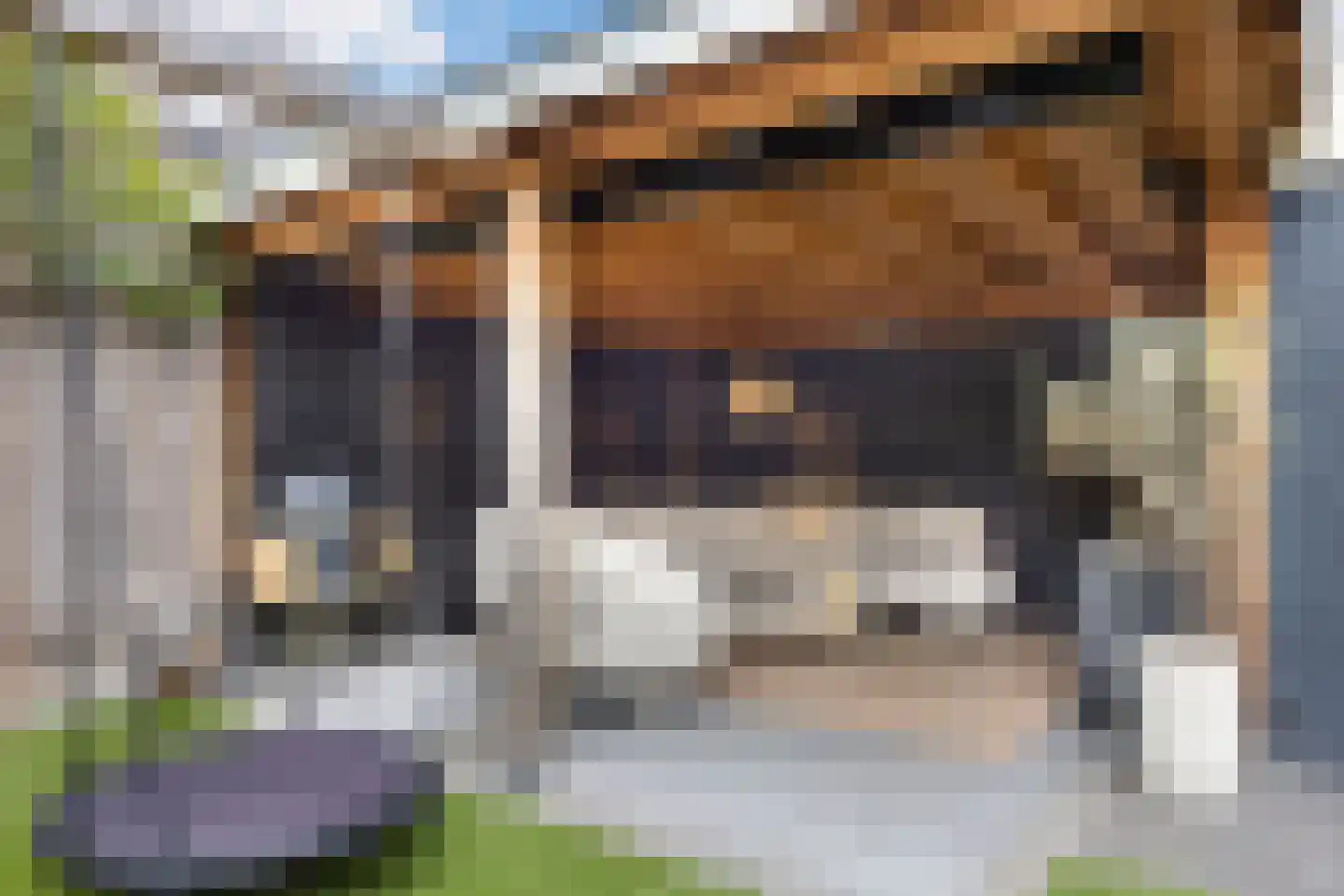 Ridderspoor 9 Borne thumbnail 33
