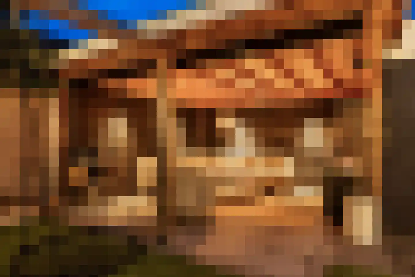 Ridderspoor 9 Borne thumbnail 34