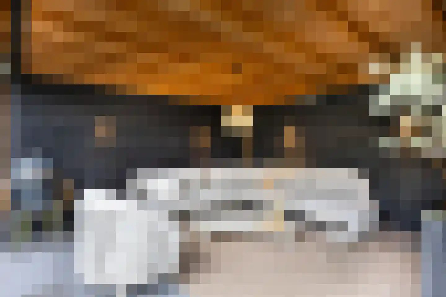 Ridderspoor 9 Borne thumbnail 36