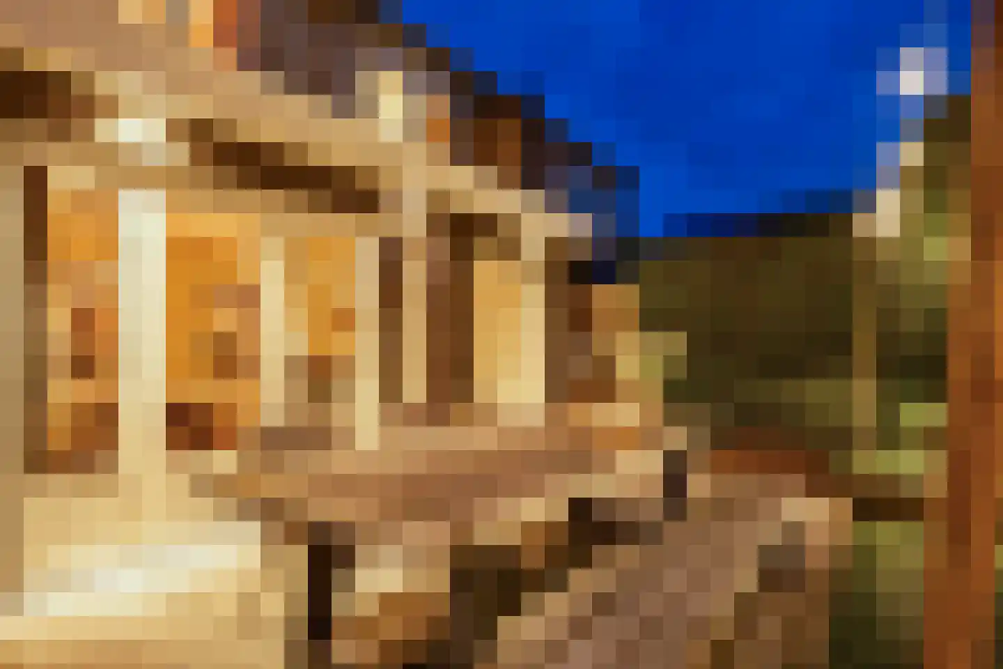 Ridderspoor 9 Borne thumbnail 40