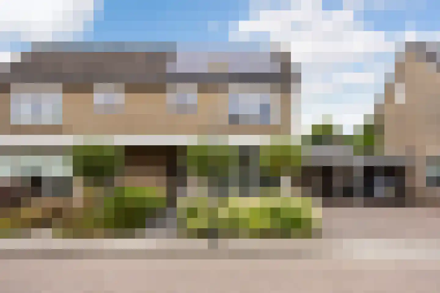 Ridderspoor 9 Borne thumbnail 43