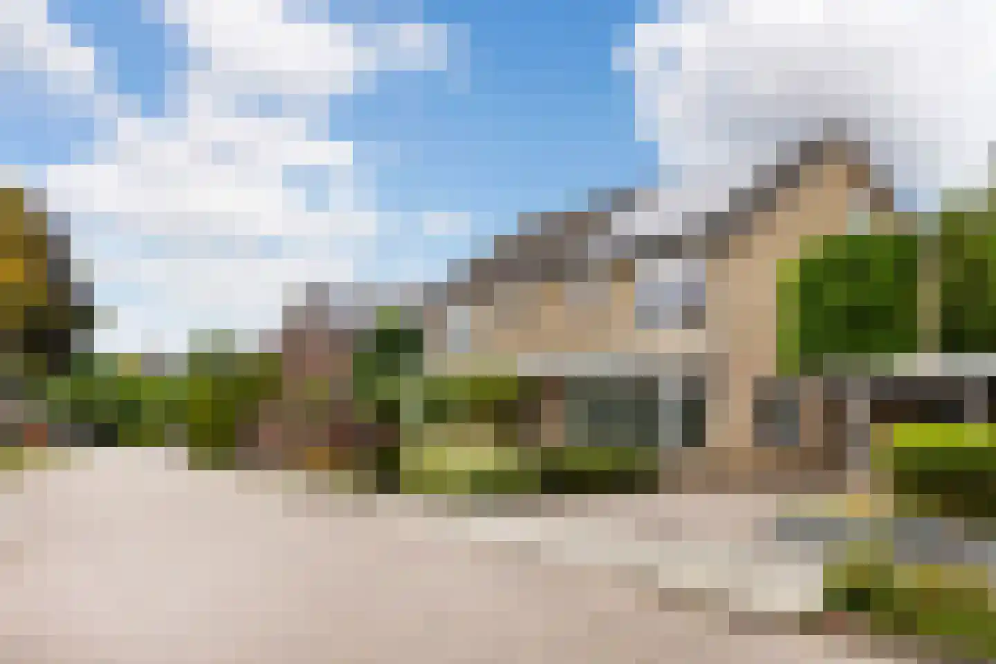Ridderspoor 9 Borne thumbnail 44