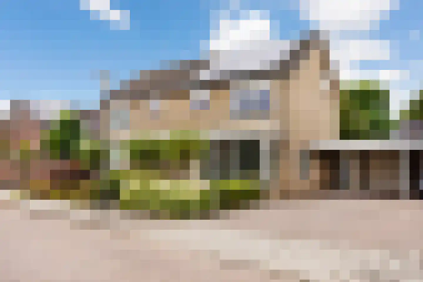 Ridderspoor 9 Borne thumbnail 5