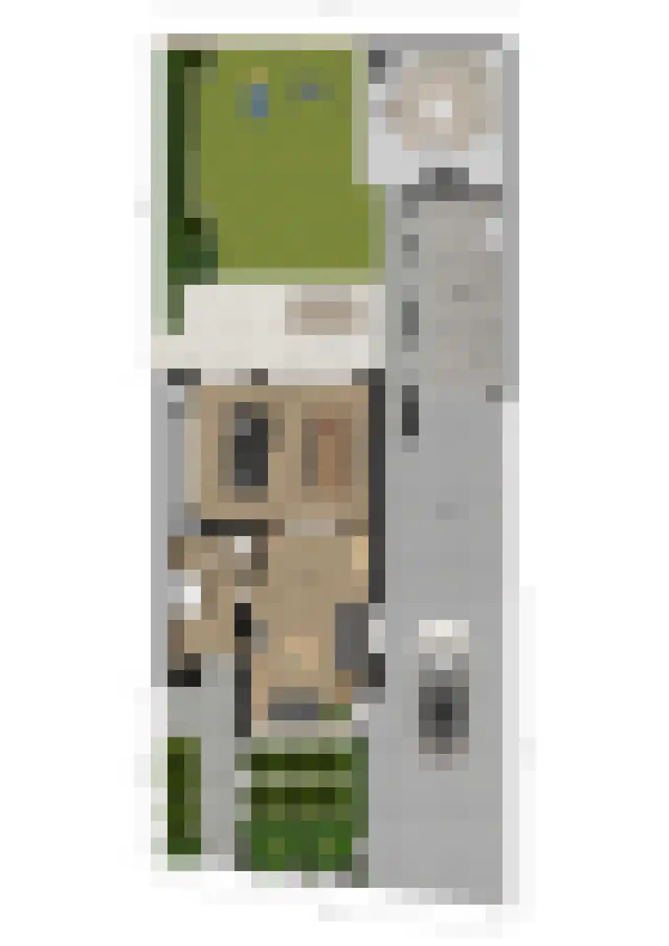 Ridderspoor 9 Borne thumbnail 51