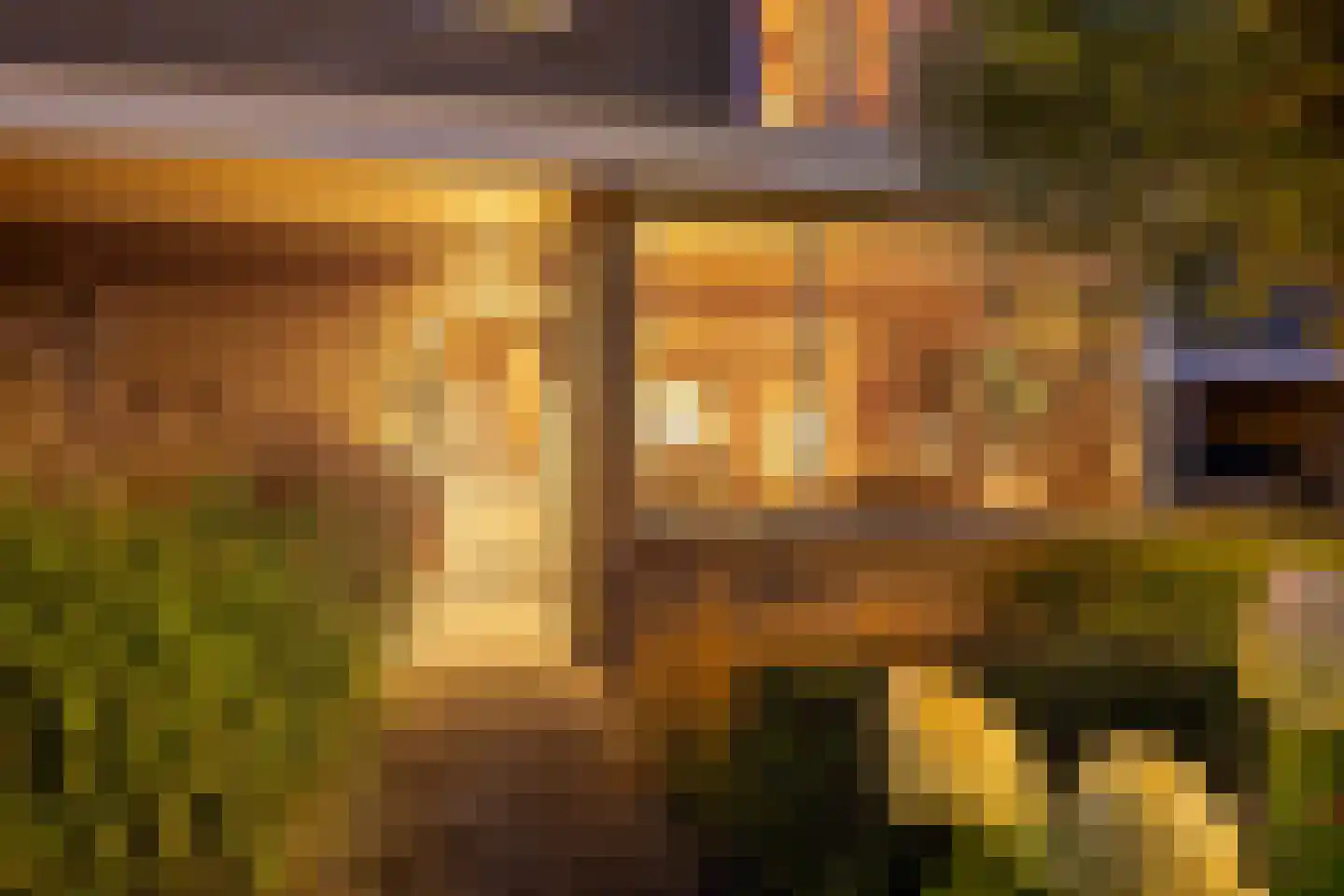 Ridderspoor 9 Borne thumbnail 6
