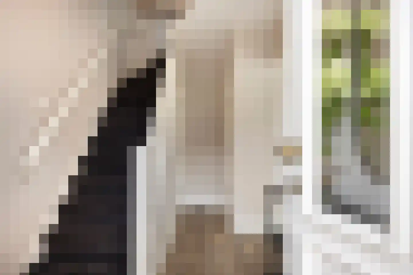 Ridderspoor 9 Borne thumbnail 8