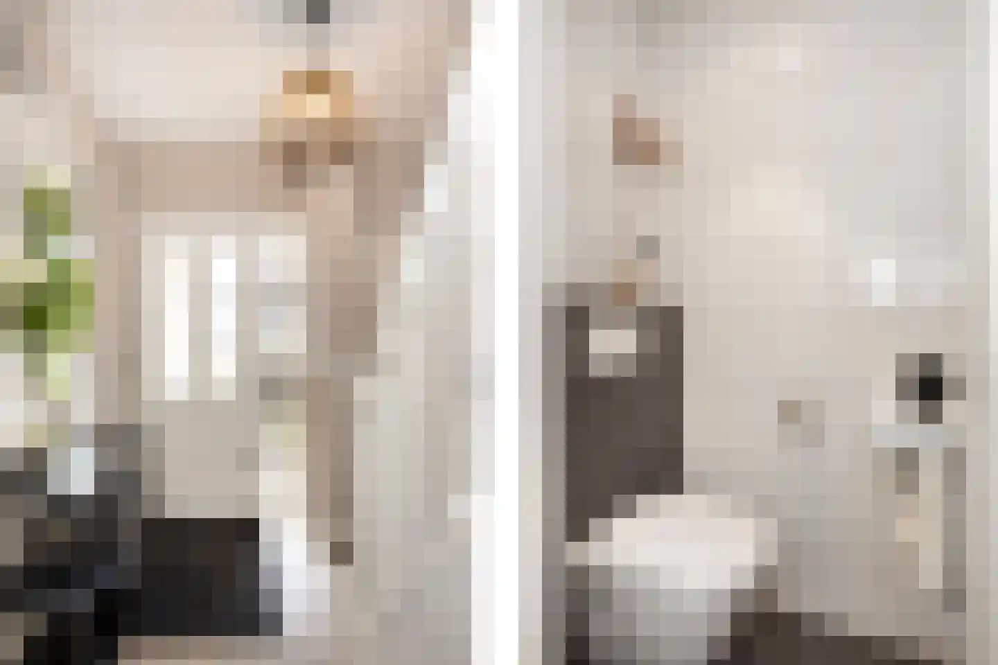 Ridderspoor 9 Borne thumbnail 9