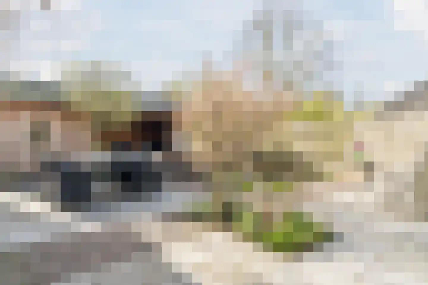 Ridderspoor 9 Culemborg thumbnail 35