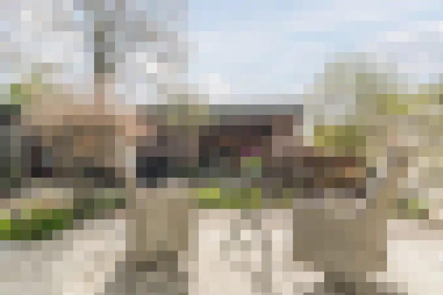 Ridderspoor 9 Culemborg thumbnail 38