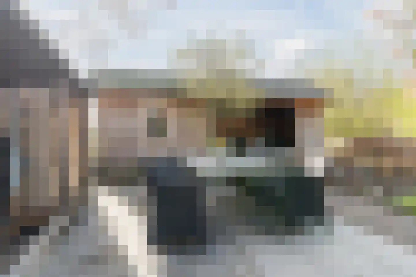 Ridderspoor 9 Culemborg thumbnail 40